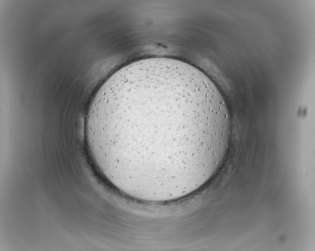 X0000091530014200709141445