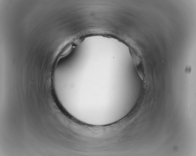 X0000091530015200709141445