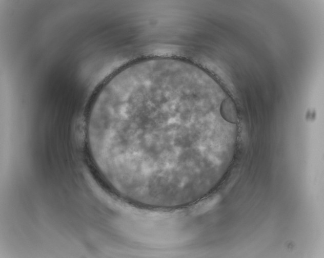 X0000091530016200709141445