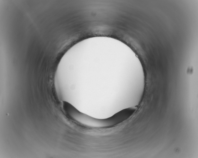 X0000091530017200709141445