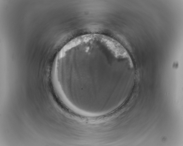 X0000091530018200709141445