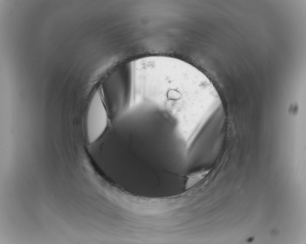 X0000091530019200709141445