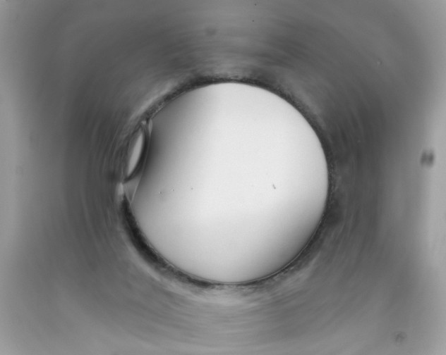 X0000091530020200709141445