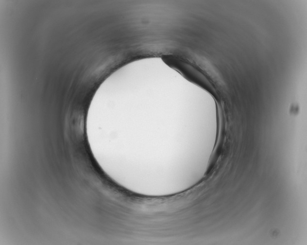 X0000091530021200709141445