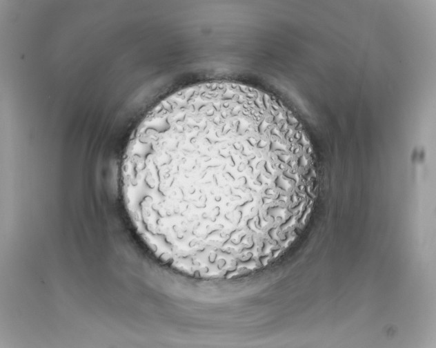 X0000091530022200709141445