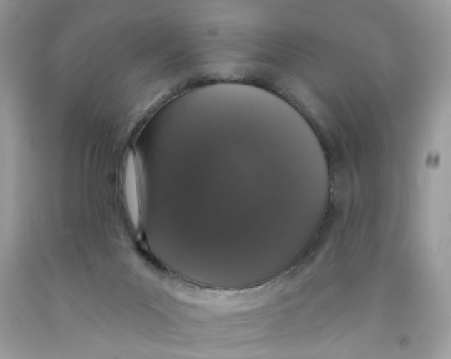 X0000091530023200709141445