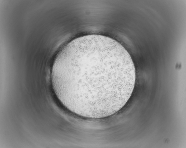 X0000091530024200709141445