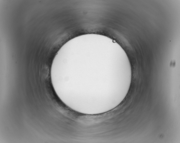 X0000091530025200709141445