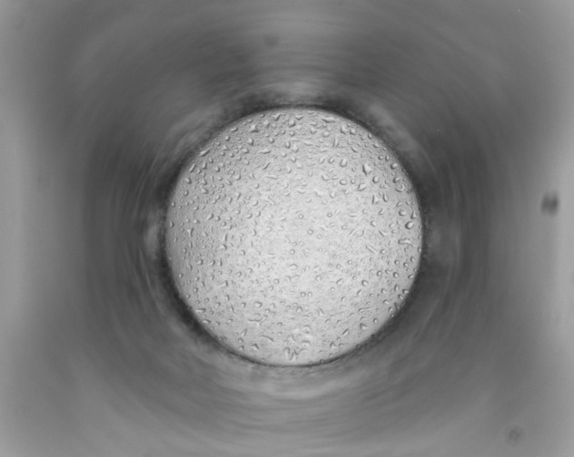 X0000091530026200709141445