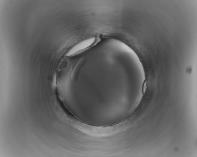 X0000091530027200709141445