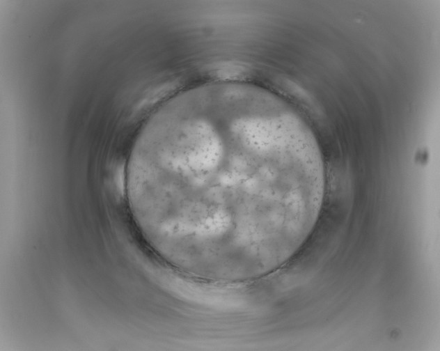 X0000091530028200709141445