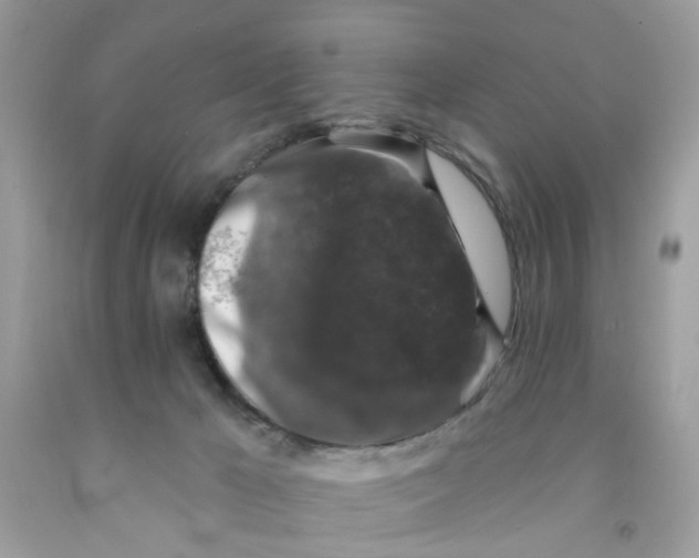 X0000091530029200709141445