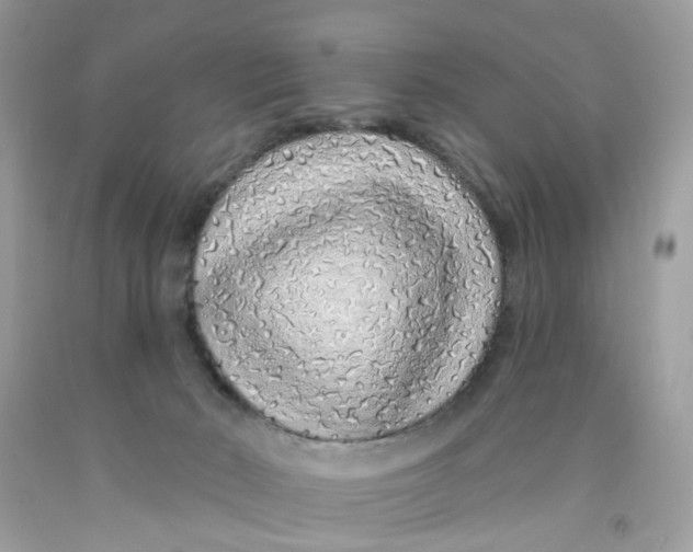 X0000091530030200709141445
