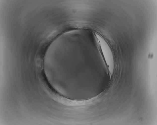 X0000091530031200709141444
