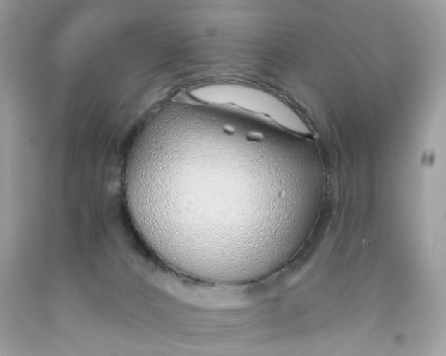 X0000091530032200709141444
