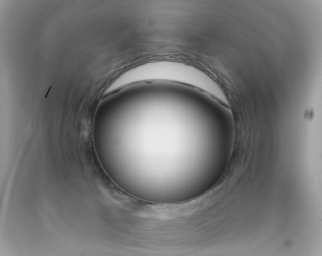 X0000091530033200709141444