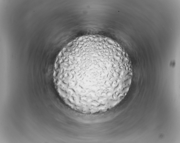 X0000091530034200709141444