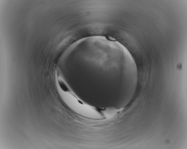 X0000091530035200709141444