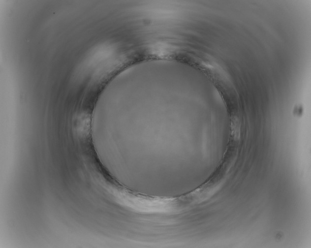 X0000091530036200709141444