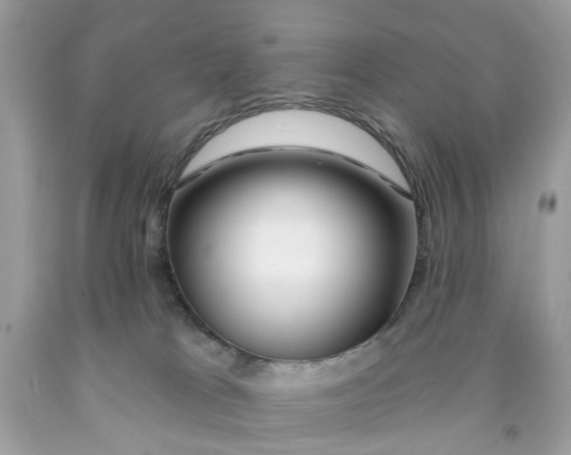 X0000091530037200709141444