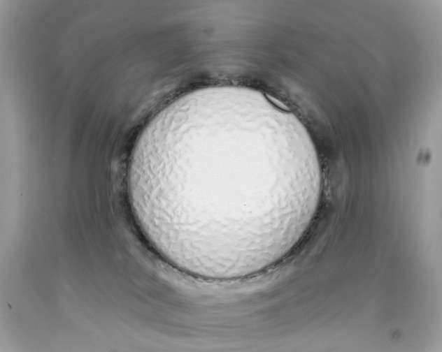 X0000091530038200709141444