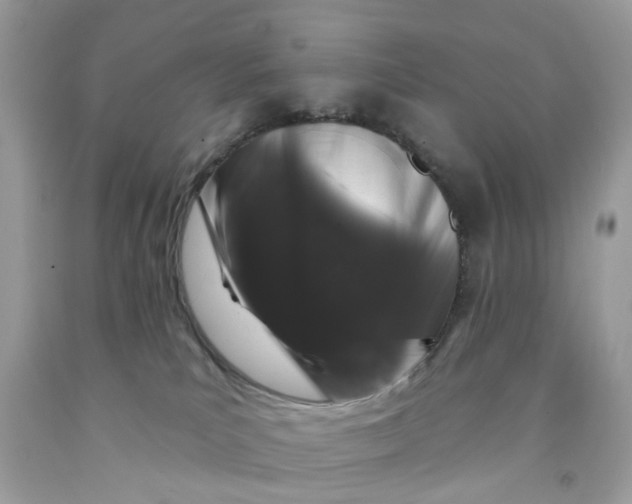 X0000091530039200709141444