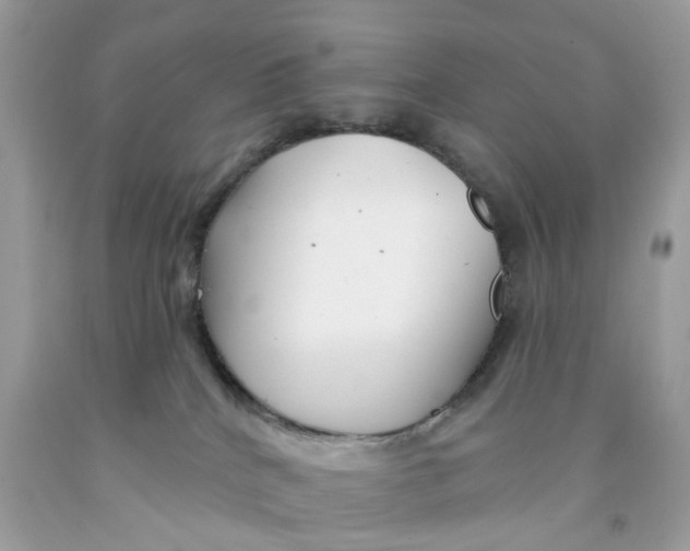 X0000091530040200709141444