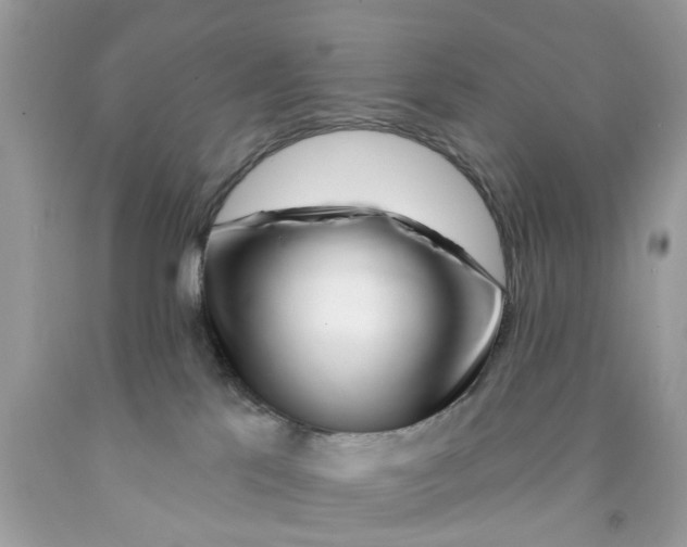 X0000091530041200709141444