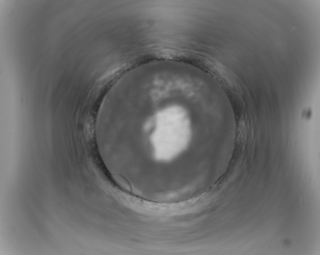 X0000091530043200709141444