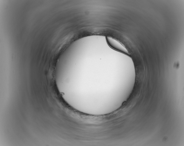 X0000091530044200709141444