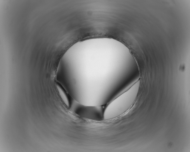 X0000091530045200709141444