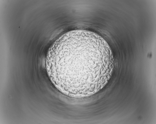 X0000091530046200709141444