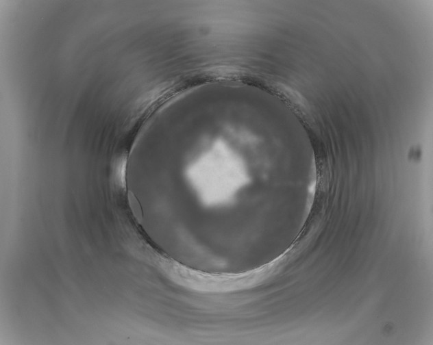 X0000091530047200709141444