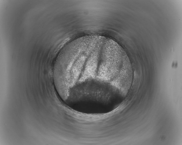 X0000091530048200709141444