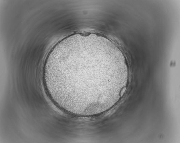 X0000091530049200709141444