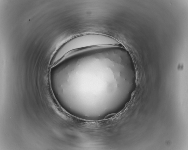 X0000091530050200709141444