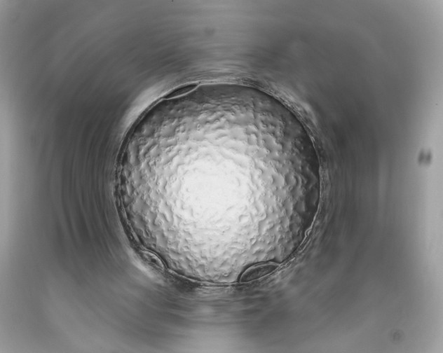 X0000091530051200709141444