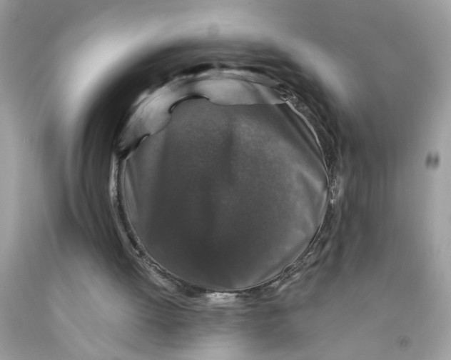 X0000091530052200709141444
