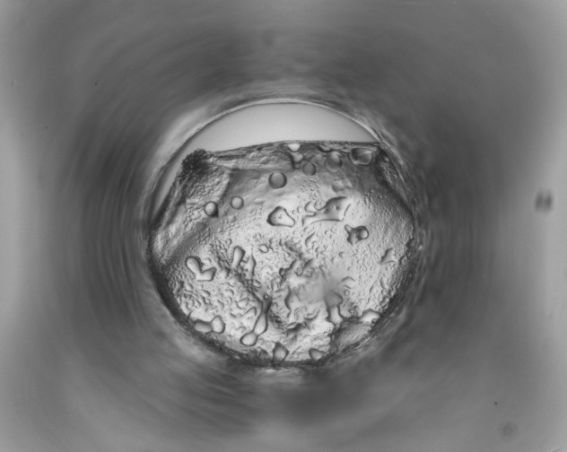 X0000091530053200709141444
