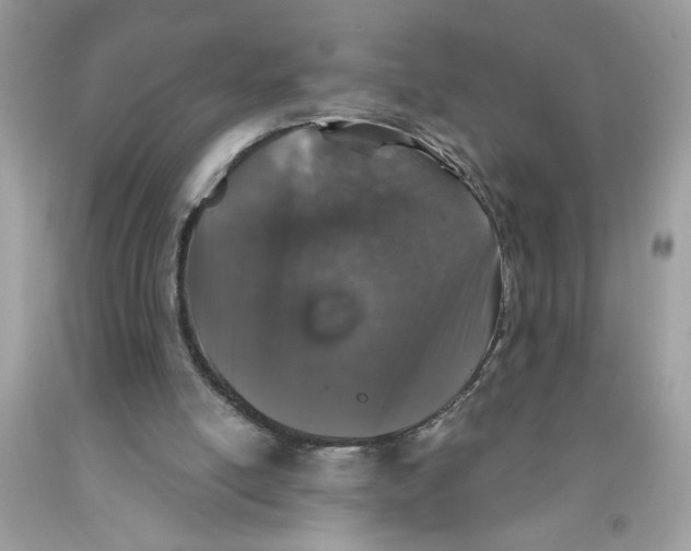 X0000091530054200709141444