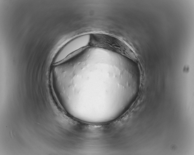 X0000091530055200709141444