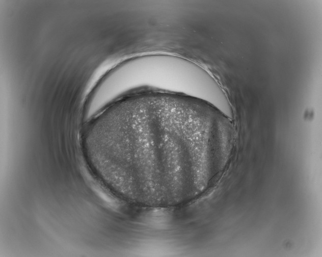 X0000091530056200709141444