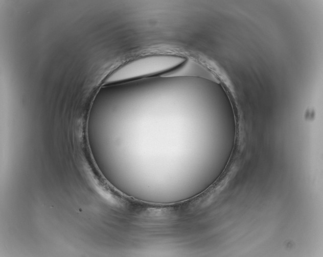 X0000091530057200709141444