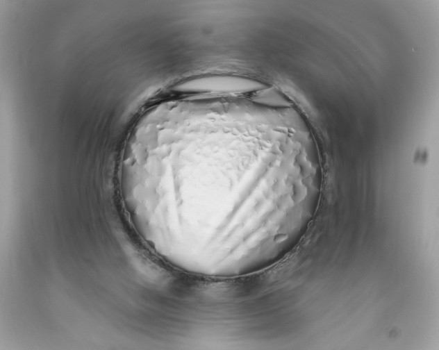 X0000091530058200709141444
