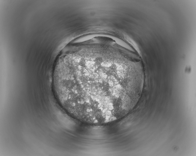 X0000091530059200709141444