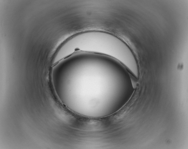 X0000091530060200709141444