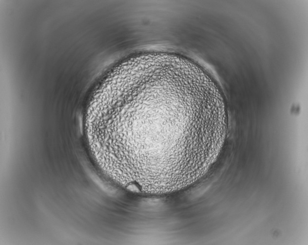 X0000091530061200709141444