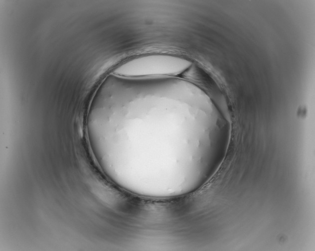 X0000091530062200709141444