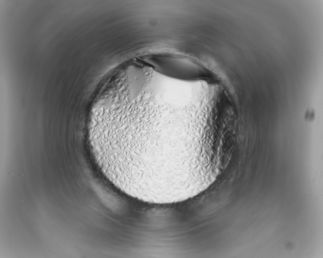 X0000091530063200709141444