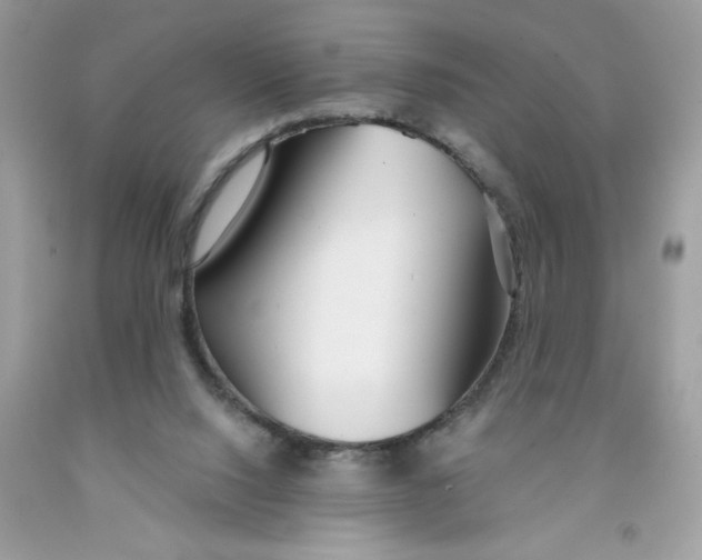X0000091530064200709141444
